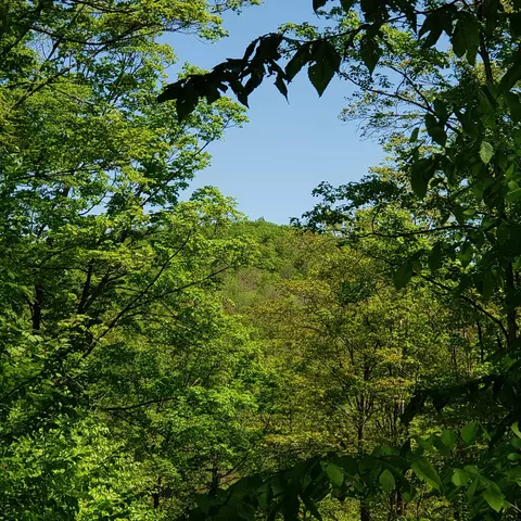 00 Beaver Meadow Rd, Roxbury, VT 05669