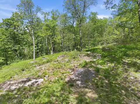 189 Shagbark Ln, Williston, VT 05495 photo 24