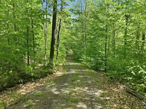 189 Shagbark Ln, Williston, VT 05495 photo 11