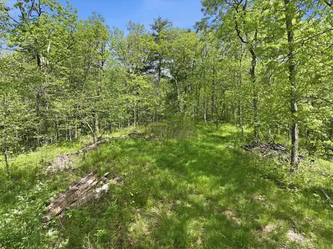 189 Shagbark Ln, Williston, VT 05495 photo 23