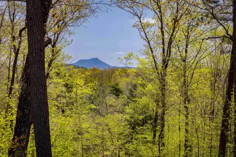 189 Shagbark Ln, Williston, VT 05495 photo 6