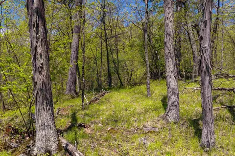 189 Shagbark Ln, Williston, VT 05495 photo 40