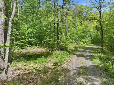 189 Shagbark Ln, Williston, VT 05495 photo 12