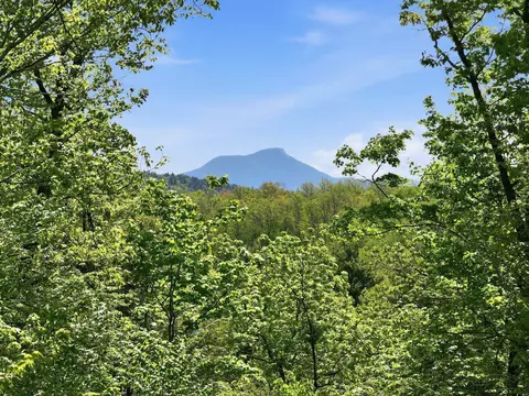 189 Shagbark Ln, Williston, VT 05495 photo 2
