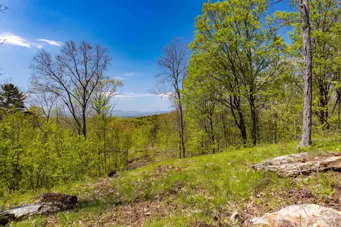 189 Shagbark Ln, Williston, VT 05495 photo 4