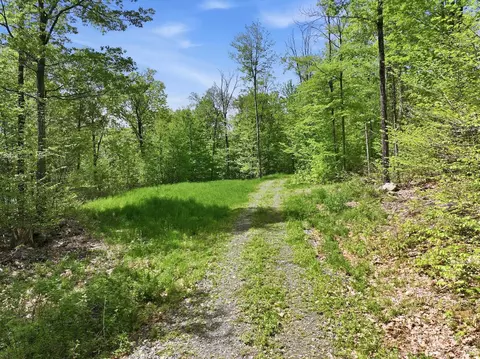 189 Shagbark Ln, Williston, VT 05495 photo 27