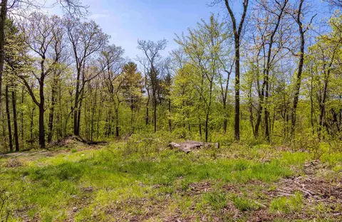 189 Shagbark Ln, Williston, VT 05495 photo 41