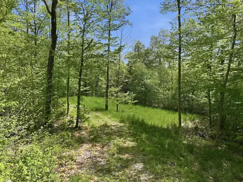 189 Shagbark Ln, Williston, VT 05495 photo 16