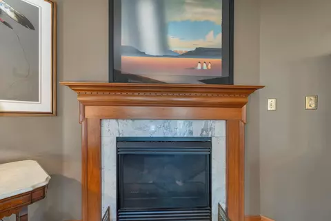 Other - 58 Pointe Trinity Dr, Strafford, NH 03884 photo 3 of 14
