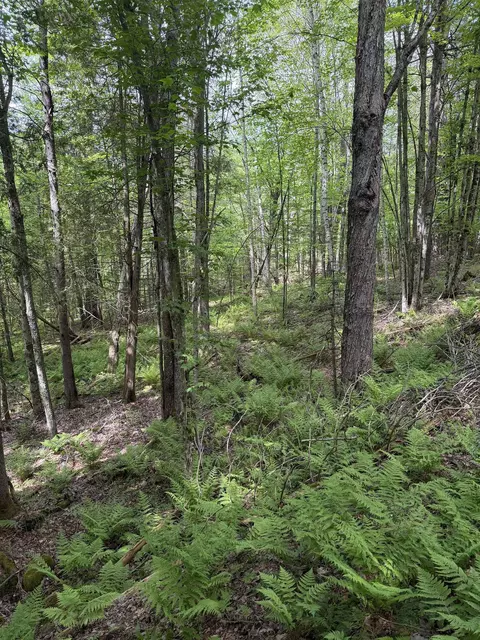 0 Walker Dr, Lancaster, NH 03584 photo 6