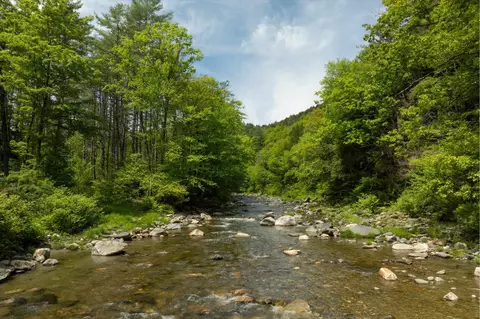View/Area - 142 Dover Rd, Williamsville, VT 05362 photo 2 of 2