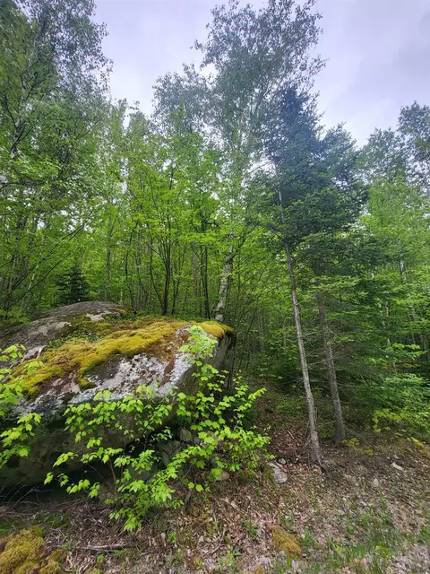 0 Saphire Ln, Jefferson, NH 03583