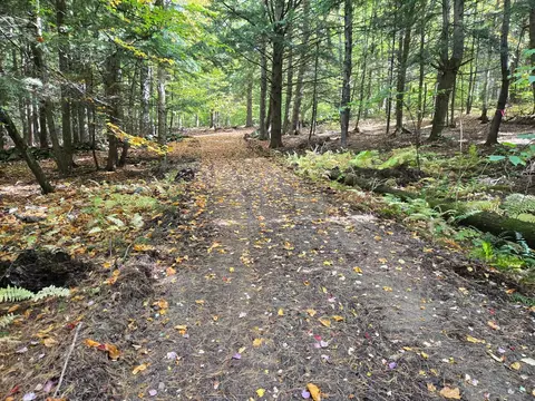 lot13 Beach Pond Rd, Wolfeboro, NH 03894