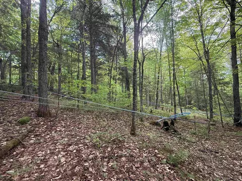 00 Fuller Rd, Newbury, VT 05051