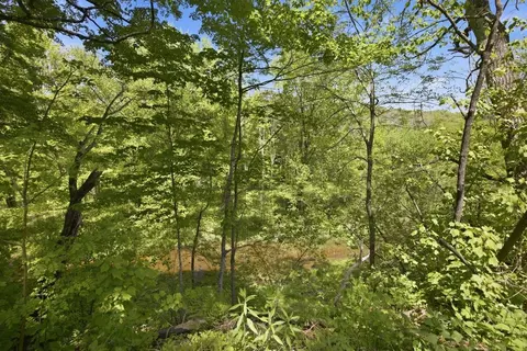 View/Area - 307 School St, Rumney, NH 03266 photo 3 of 11