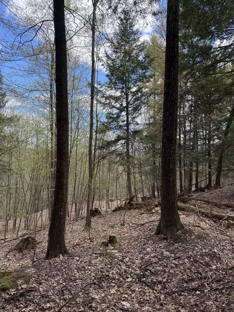 00 Dothan Rd, Hartford, VT 05047 photo 8