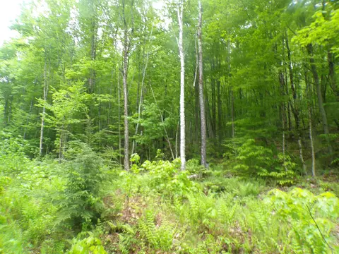 0 Foliage Ln #1, Westmore, VT 05822