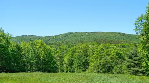 0 Rod Gun Club Rd #8, Ludlow, VT 05149