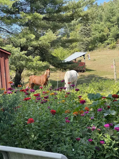Other - 736 Pleasant St, Newport, VT 05855 photo 1 of 14