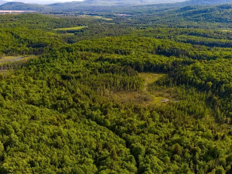 3180 Bear Hill Rd, Maidstone, VT 05905