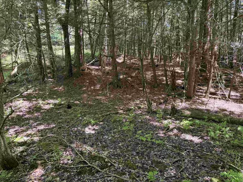 169 Sherman St, Fairfield, VT 05455 photo 16