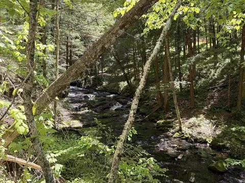 169 Sherman St, Fairfield, VT 05455 photo 7