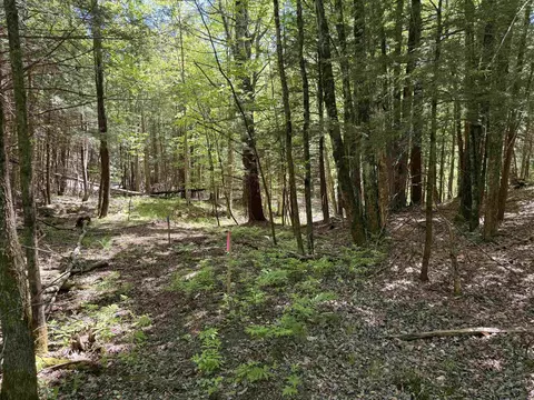 169 Sherman St, Fairfield, VT 05455 photo 17