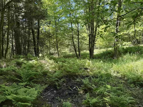 169 Sherman St, Fairfield, VT 05455 photo 18