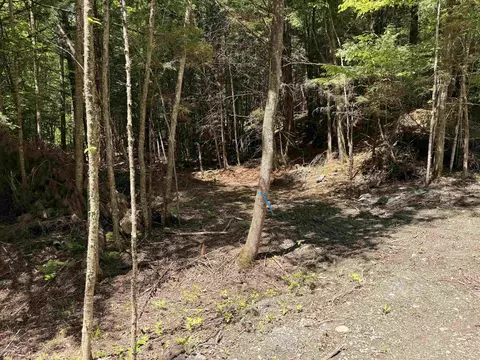 169 Sherman St, Fairfield, VT 05455 photo 6