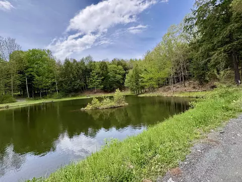 198 Brackett Rd, Fairlee, VT 05045