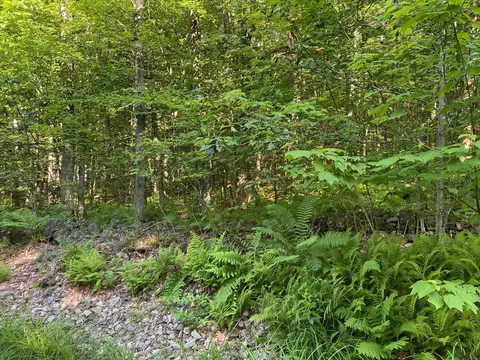 164 Lot 18-3 Mason Rd, Milton, NH 03851