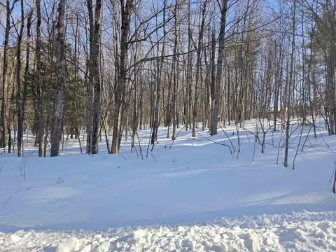 164 Lot 18-1 Mason Rd, Milton, NH 03851