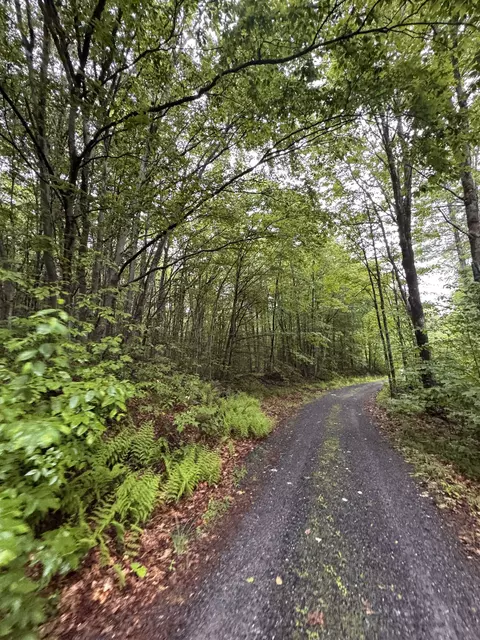 101 Gilsum Rd #1, Sullivan, NH 03445