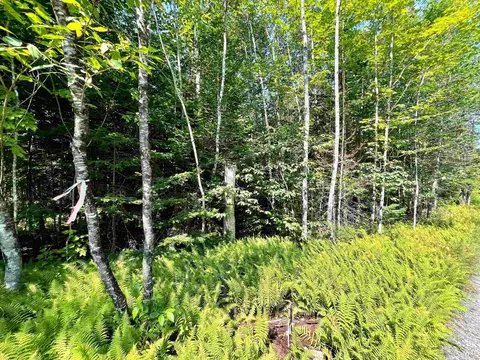 501 Martins Pond Ln, Peacham, VT 05862
