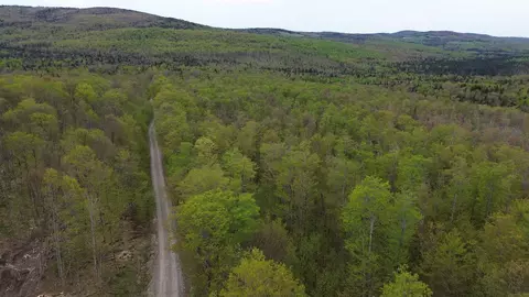 Mapb2lot16 Deadwater Road, Stewartstown, NH 03597
