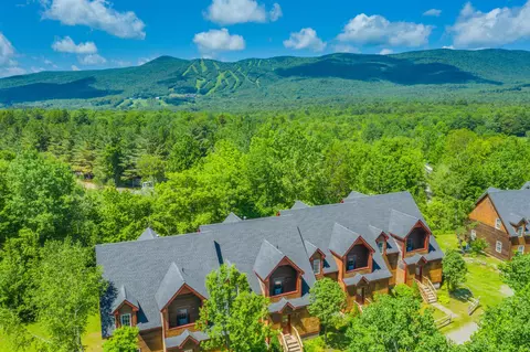 View/Area - 10 Grouse Ln # A, Dover, VT 05356 photo 2 of 3