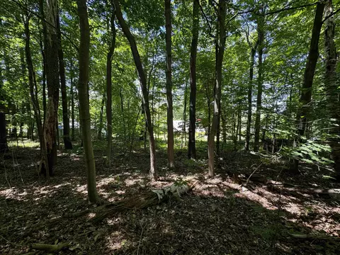 Exterior - 142 Pine Cir, Bennington, VT 05201 photo 13 of 17