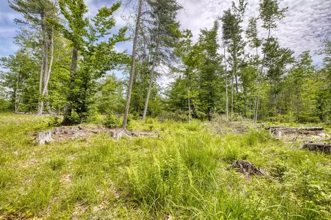 Exterior - 160 Browns Ridge Rd, Ossipee, NH 03864 photo 17 of 23