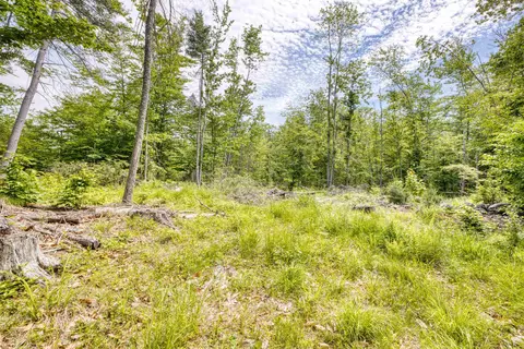 Exterior - 160 Browns Ridge Rd, Ossipee, NH 03864 photo 20 of 23