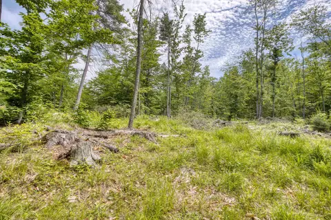 Exterior - 160 Browns Ridge Rd, Ossipee, NH 03864 photo 19 of 23