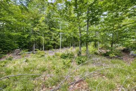 Exterior - 160 Browns Ridge Rd, Ossipee, NH 03864 photo 21 of 23