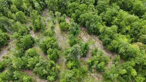 View/Area - 160 Browns Ridge Rd, Ossipee, NH 03864 photo 1 of 4