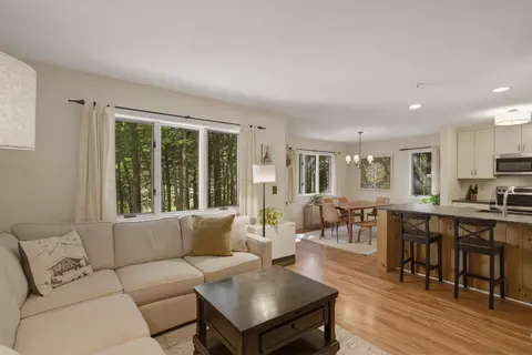 Living - 85 E Birch Rd #2, Stratton, VT 05155 photo 1 of 4