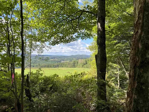 0 Danville Hill Rd, Cabot, VT 05647