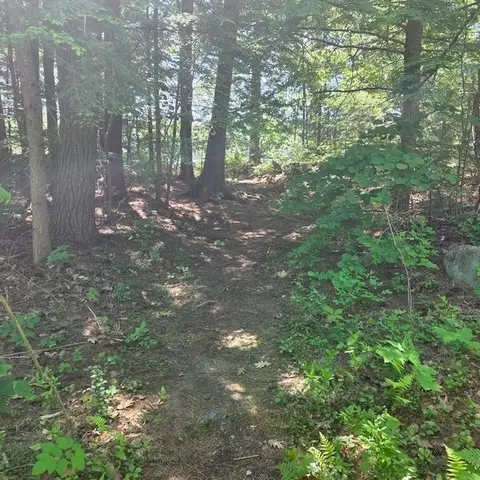 Exterior - 18 Gorham Dr, Dunbarton, NH 03046 photo 2 of 10