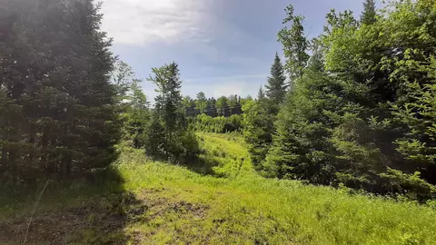 0 Summit Rd, Mount Holly, VT 05758