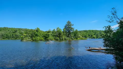 610 Route 100, Plymouth, VT 05056