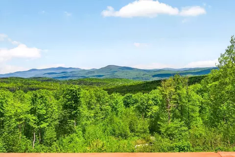 680 Government Rd, Mount Holly, VT 05758