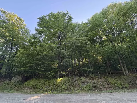 Scattered Timber Road, Wilmington, VT 05363