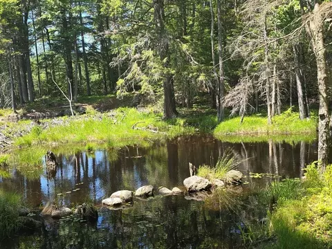 Baine Road #MAP 47 1 & MAP 11 2, Alstead, NH 03602